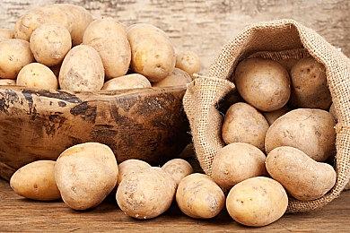 《极限竞速：地平线5》风火轮DLC实机演示分享